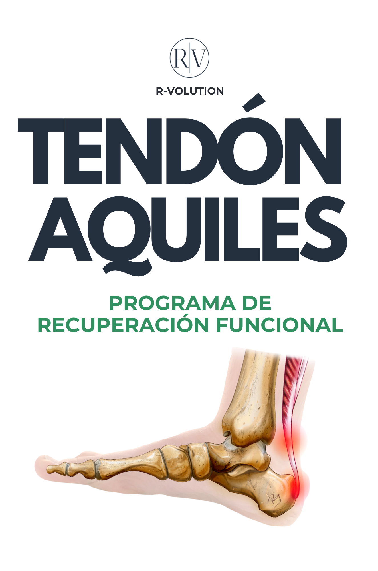 TENDÓN DE AQUILES - PROGRAMA