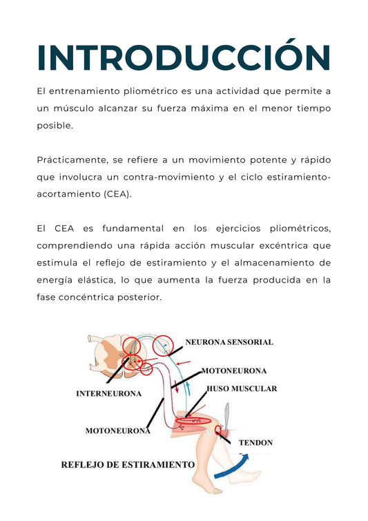 PLIOMETRÍA - Guía para comenzar a usarla en tus entrenos