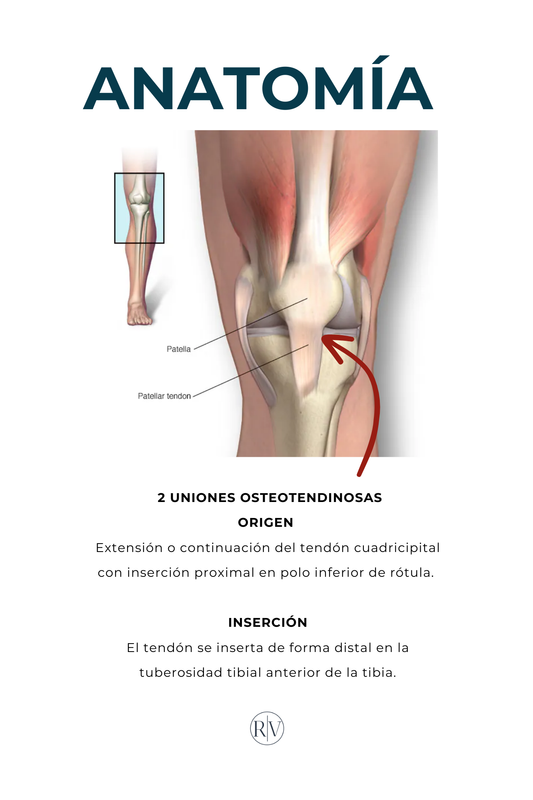 Dolor Rotuliano – Recupera tu rodilla en 12 semanas