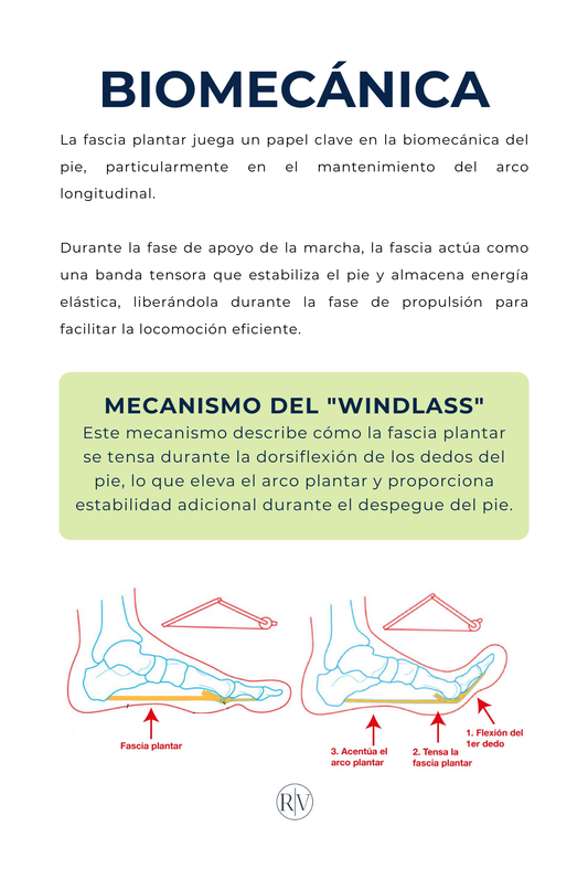 Fascitis plantar - Todo sobre el dolor en la planta del pie