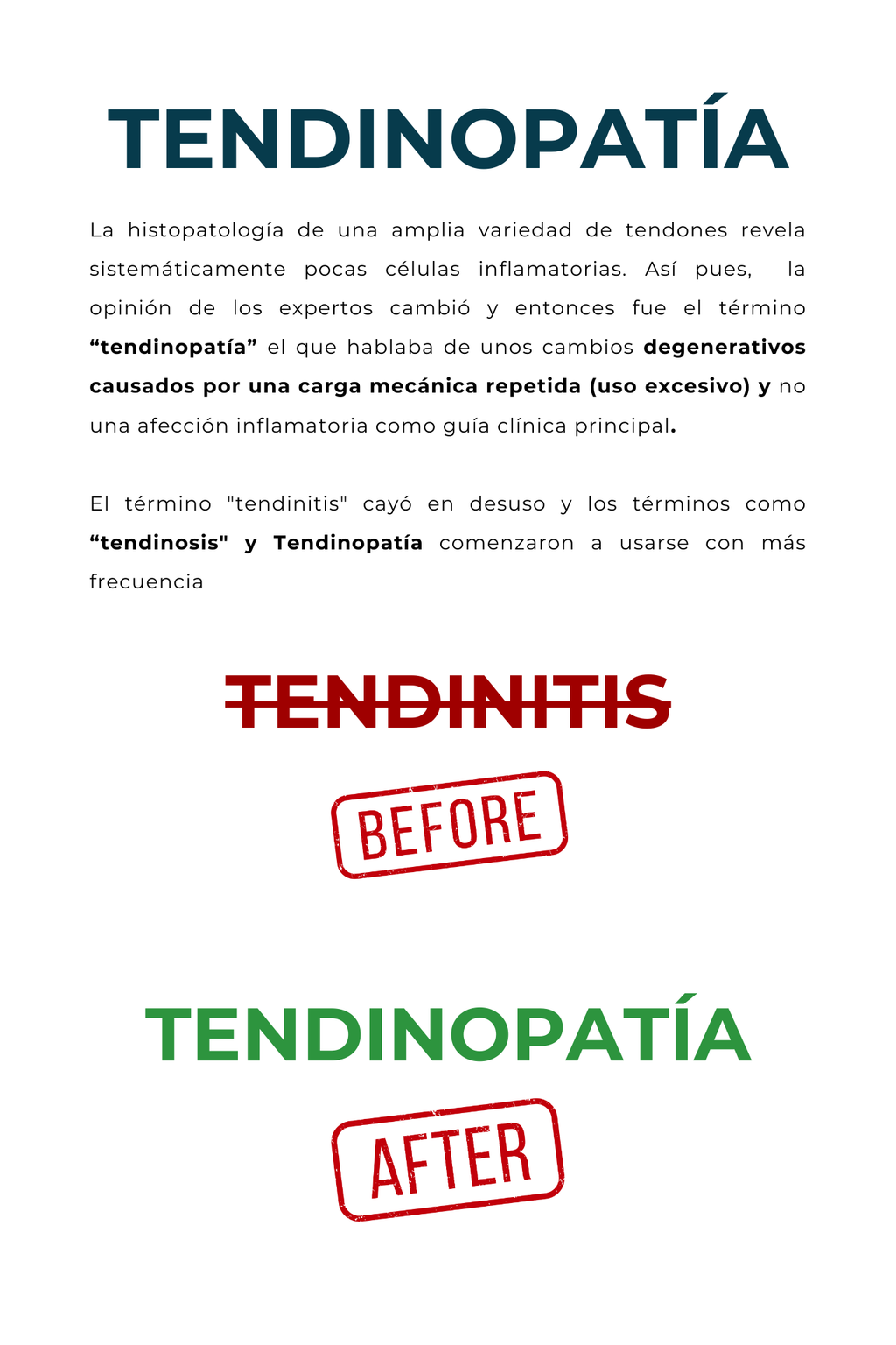 Aprende todo sobre tus tendones