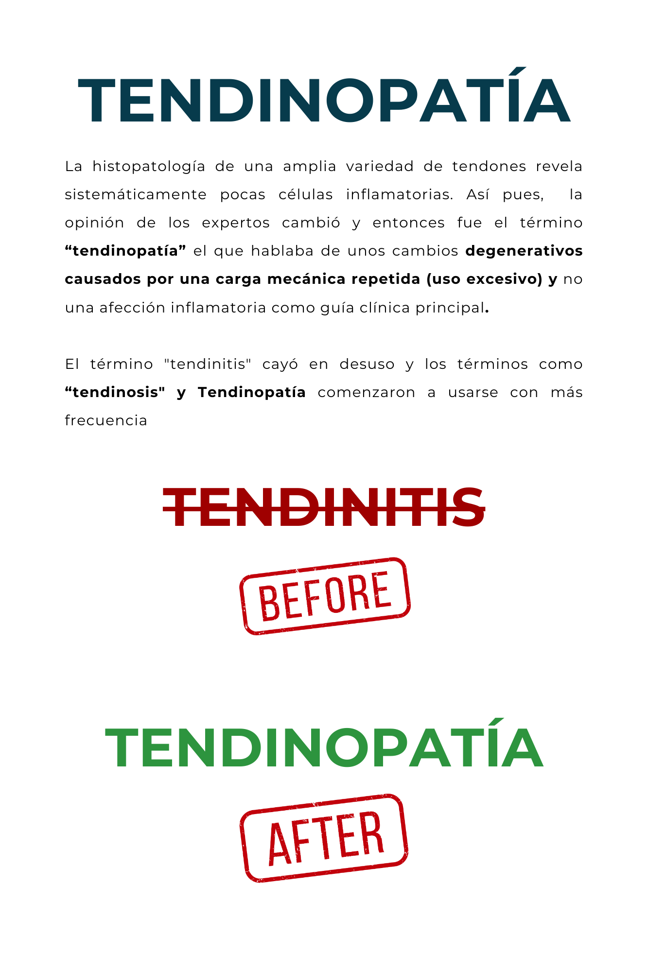 Aprende todo sobre tus tendones