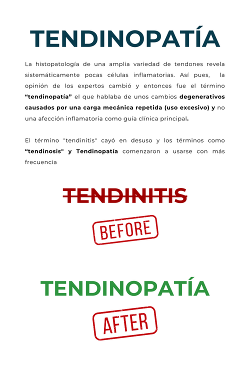 Aprende todo sobre tus tendones
