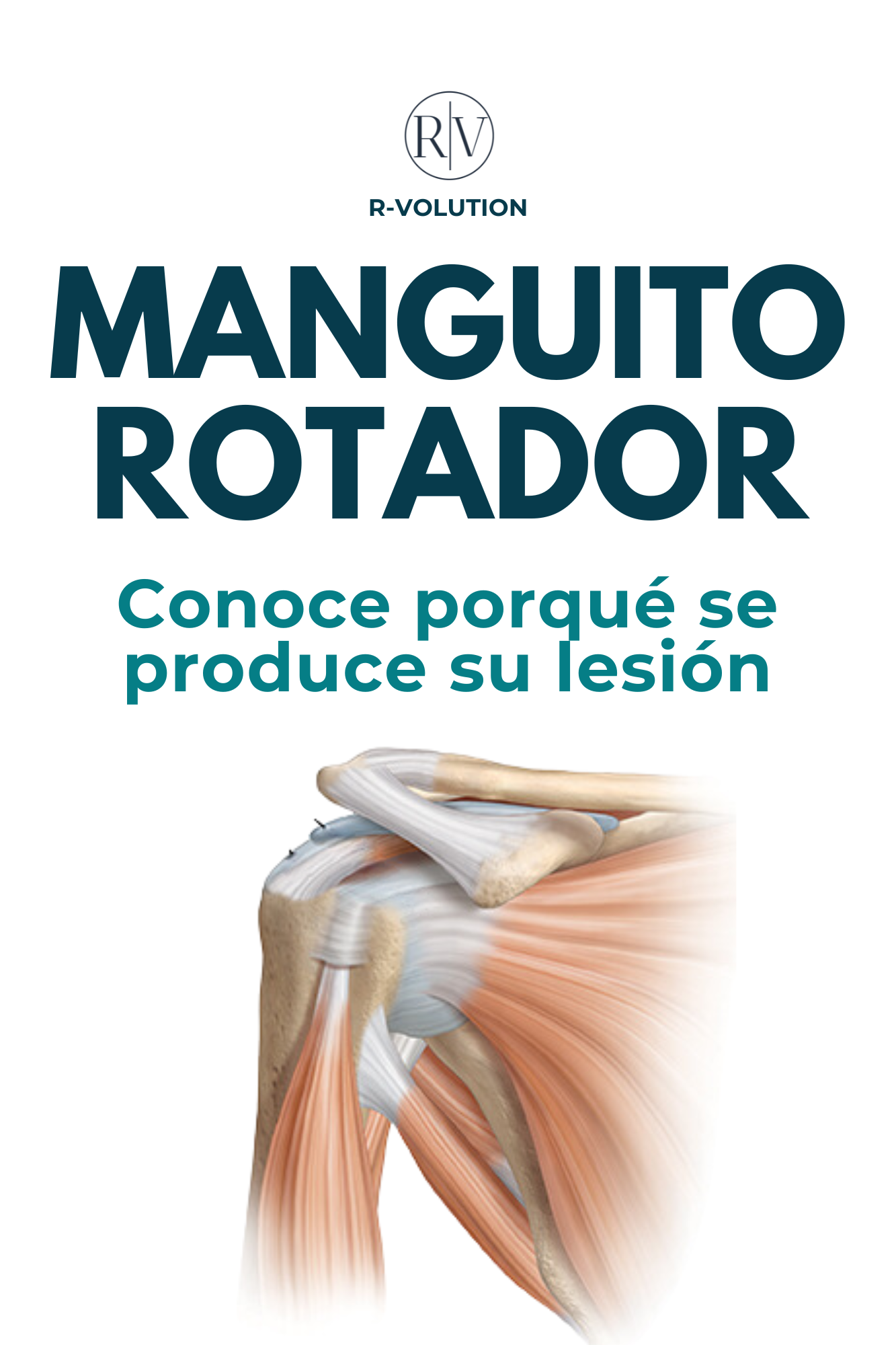 DOLOR DE HOMBRO - CONOCE AL MANGUITO ROTADOR