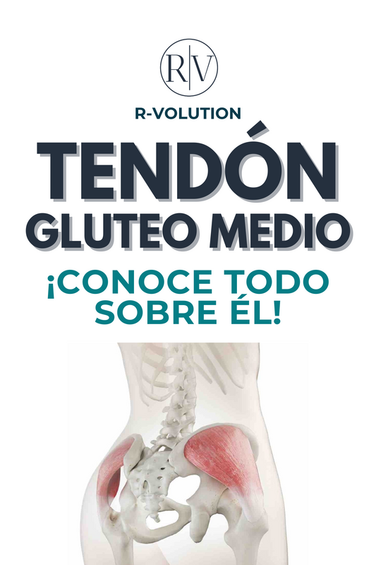 GLÚTEO MEDIO - CONOCE TODO SOBRE ÉL