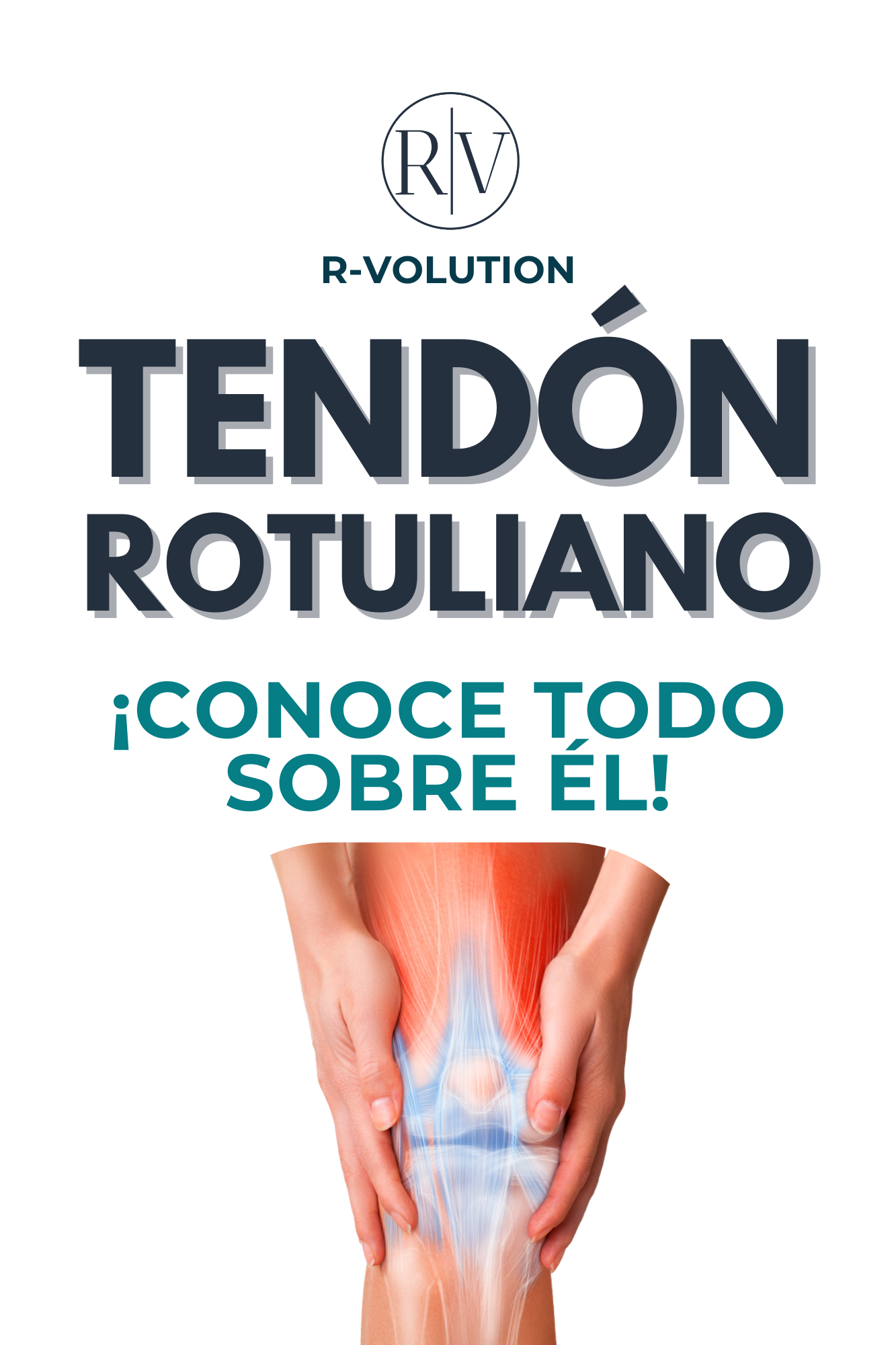 TENDON ROTULIANO - CONOCE TODO SOBRE ÉL