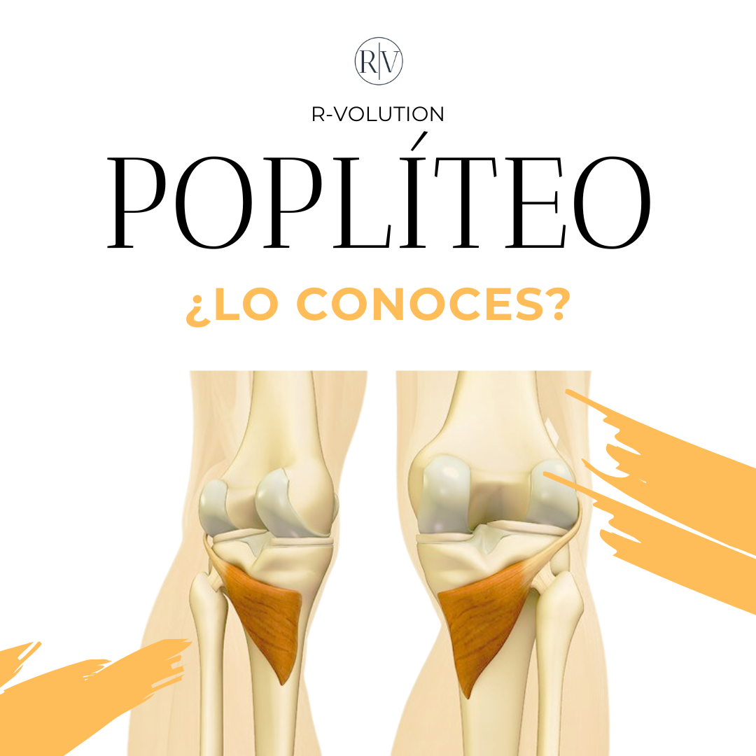 Músculo Poplíteo